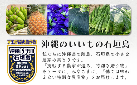 沖縄の健康長寿の秘訣「琉球百薬（おかわかめ）」10袋と旬のおまけ野菜詰め合わせ！農薬を使わない栽培方法を続けるミネイさんの野菜【 沖縄 石垣島 石垣島産 野菜 セット 詰合せ 農薬不使用 離島のいいもの 沖縄のいいもの石垣島 】OI-24