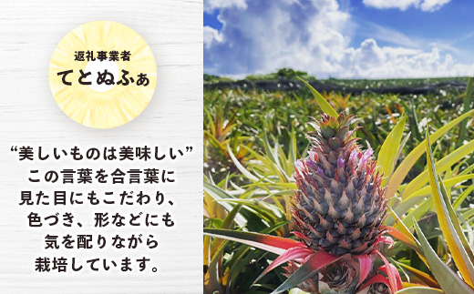 【マツコの知らない世界で絶賛！】《2025年4月以降発送》【先行予約】パイナップル好きにおすすめ！満足のパイナップル4品種定期便【 沖縄 石垣 ピーチ ホワイトココ ジュワリー スナック パイン パイナップル 完熟 セット フルーツ デザート 食べ比べ 定期便 TV テレビ 紹介 マツコ 】 TF-37