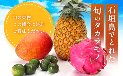 《2025年7月中旬～9月上旬順次発送予定》石垣島の夏「果物」詰め合わせ～夏のタカラモノ果物便～【 産地直送 沖縄 石垣 石垣島 くだもの トロピカルフルーツ 果物 南国 フルーツ 詰め合わせ フルーツ便 】SH-5