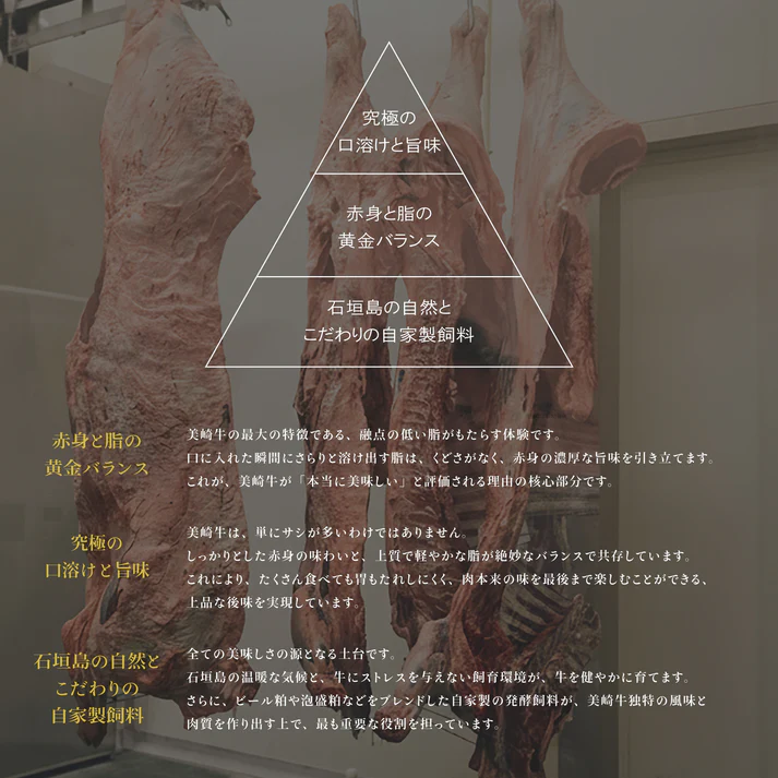 美崎牛を味わう！焼肉5種＆特製ハンバーグ よくばりセット | 牛肉 セット 和牛 黒毛和牛 沖縄 石垣 A5 オーガニック 幻の和牛 ギフト