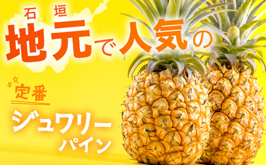 【予約受付】ジュワリーパイン1ｋｇ（1～2玉）お勧め♪川平パイン《2025年7月～8月頃順次発送》KN-1