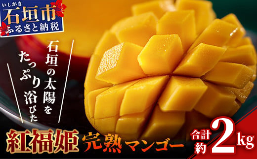 【2026年発送 予約受付分】「紅福姫ブランド」石垣島のマンゴー 約2kg 【沖縄県 石垣市 産地直送 旬 石垣島産 マンゴー 完熟マンゴー アーウィン種マンゴー】OT-05