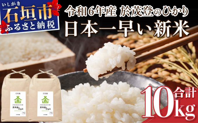 【令和6年産新米！】石垣島産 於茂登(おもと)のひかり 10kg みやぎ米屋【 日本一早い新米の産地 お米 産地直送 旬 しきゆたか 沖縄県 石垣市 送料無料 】MK-2