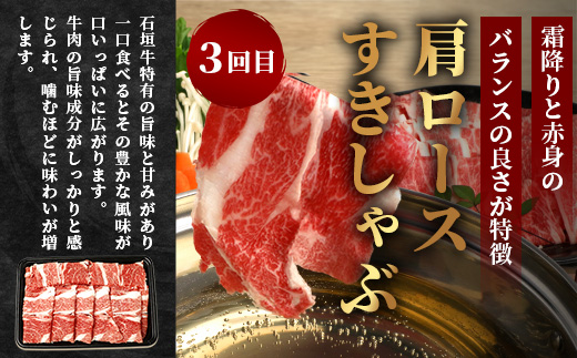 【全3回 定期便B】 石垣牛　切り落としスライス・ハンバーグ・肩ロースすきしゃぶ　計1.67kg（いしなぎ屋）【 特選肉 肉 高級 黒毛和牛 和牛 牛 】AB-30