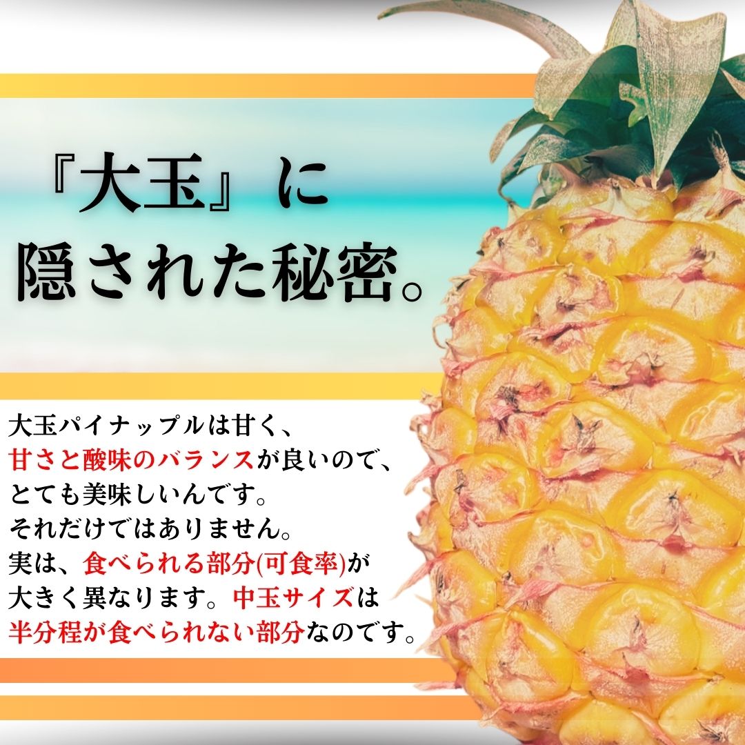 【先行予約】《2025年夏季 順次発送》夏実パイン（ハワイ種）大玉2～3個 計2.6kg　SI-47