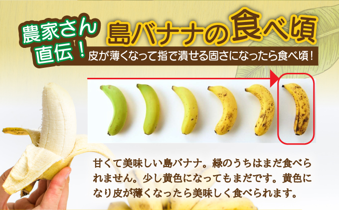 åžå°ïŒç¹èš±è£œæ³ã§äœãã·ãªã«æ°Žã§æ œå¹ããç¹å¥ãªãå³¶ããããããµãããšçŽçš æ²çžçç³å£åž æ²çž ç³å£åž ç³å£å³¶ åžå° ç¡èŸ²è¬ ããã ã°ãªãª é¢å³¶ã®ãããã® æ²çžãããã®ç³å£å³¶ ãOI-6