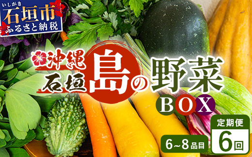 【６回定期便】石垣島産 野菜BOX ≪定番・旬の野菜 ６~８種類≫（1箱×6回）季節ごとに野菜パワーをあなたに！！｜野菜セット おまかせセット 旬 季節のお野菜 旬の野菜セット 詰め合わせ 定期便 ６回 定番野菜 島野菜 沖縄県 石垣市 石垣島 CK-3