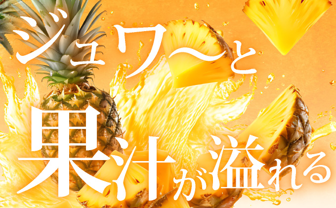 【先行予約】石垣島産 中玉スナックパイン（ボゴール）6玉 合計約6kg 《2025年夏季 順次発送》SI-112