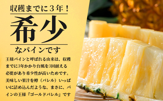 【先行予約】石垣島産 ゴールドバレル１玉 約2.0kg ギフト用梱包《2025年夏季 順次発送》【 ギフト 贈り物 産地直送 沖縄 石垣 フルーツ パイナップル パイン ゴールドバレルパイン 】SI-127