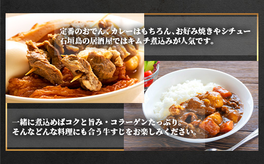 石垣牛・牛すじ ３kg （1kg×3） 冷凍便【 沖縄県 石垣市 牛肉 お肉 牛スジ 牛筋 煮込み おでん カレー 】 SI-86