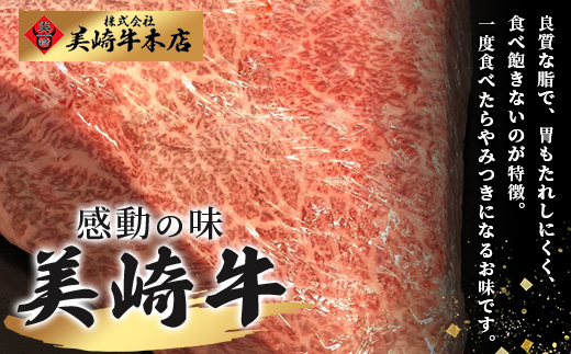 美崎牛ハンバーグ200g×6個  (tokyoFMで紹介された美崎牛です！♪)  O-5