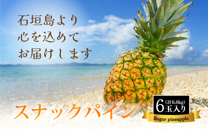 【先行予約】石垣島産 中玉スナックパイン（ボゴール）6玉 合計約6kg 《2025年夏季 順次発送》SI-112