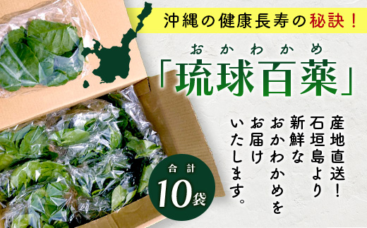 沖縄の健康長寿の秘訣「琉球百薬（おかわかめ）」10袋！農薬を使わない栽培方法を続けるミネイさんの野菜【 沖縄 石垣島 石垣島産 野菜 農薬不使用 離島のいいもの 沖縄のいいもの石垣島 】OI-25