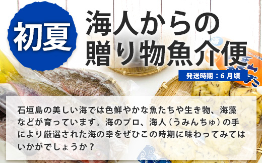 【4回/年定期配送 石垣島のタカラモノ便】 SH-3 春夏秋冬のお楽しみ(野菜 鮮魚 フルーツ 肉 牛肉 豚肉 加工 品 八重山そば かまぼこ マグロ 果物 パイン マンゴー 頒布会 セット 贈答 4ヵ月)