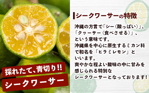 【マツコの知らない世界で絶賛！】《2025年4月以降発送》【先行予約】島のおいしいを贅沢に！大満足のパイナップル4種とマンゴー2種、シークワーサーの定期便【 沖縄 石垣 ピーチ ホワイトココ キーツ マンゴー パイン パイナップル シークワーサー 完熟 セット フルーツ デザート 食べ比べ 定期便 TV テレビ 紹介 マツコ 】 TF-40