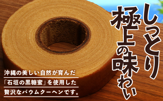 石垣島 やし屋手作り 黒糖バウムクーヘン　直径15cm以上×2箱　YA-1