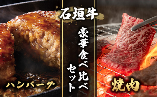 特選石垣牛100%ハンバーグ100g×3個＋特選石垣牛元卸お任せ焼肉180gセット　I-17-1