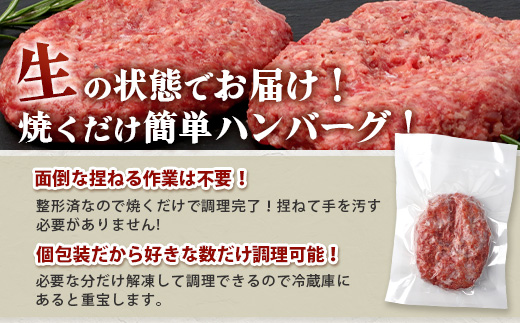 石垣島産　黒毛和牛 生ハンバーグ　120g x 10個 UN-2