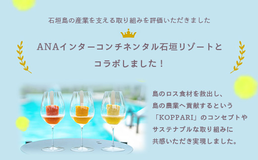 石垣島産パイナップル６回定期便 ｜ 青果３回 冷凍３回 沖縄県 石垣市 果物 果物 南国フルーツ パイン 送料無料 KP-8-1