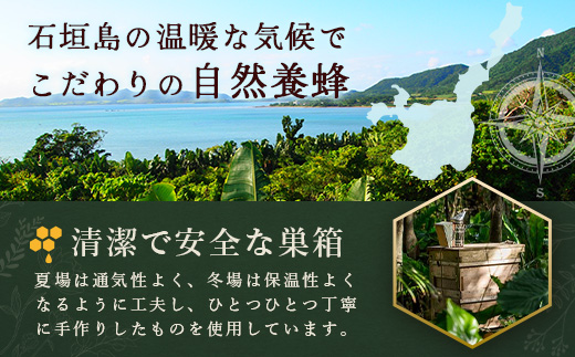 石垣島はちみつ　春蜜200g×2本（ソフトボトル）【春蜜をご家庭用に】HC-3