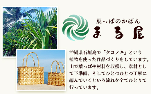 石垣島の植物クラフトワークショップ (5月下旬より順次発送) HM-5