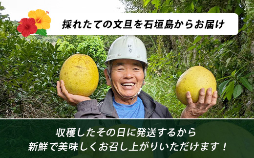 ææŠïŒïŒãïŒåïŒèŸ²è¬ã䜿ãããæ£®ã®ãããªçã§æ œå¹ããç¹å¥ãªæç© ïŒ10æã3æé 次çºéïŒã æ²çž ç³å£å³¶ ç³å£å³¶ç£ ãã«ãŒã æç© 蟲è¬äžäœ¿çš é¢å³¶ã®ãããã® æ²çžãããã®ç³å£å³¶ ãOI-19-2