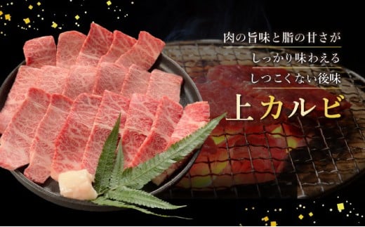 【2025年11月以降順次発送】希少な特選石垣牛をご家庭で！！上赤身（ウチモモ、シンタマ、ランプ）と上カルビ焼肉用食べ比べセット合計400g &石垣牛 MARU秘伝の焼肉タレ100ml×1本 | 沖縄 石垣 特選 牛 上 赤身 ウチモモ シンタマ ランプ カルビ 肉 食べ比べ 真空 冷凍 タレ | IM-52