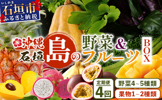 【4回定期便】沖縄県 石垣島の野菜・フルーツBOX ≪野菜4～5種類、フルーツ1~2種類≫（1箱×4回）じょーとーまーさん(とても美味しい) 石垣島の野菜とフルーツの詰め合わせセットをお楽しみください！！｜沖縄 石垣島 直送 旬 果物 フルーツ 新鮮 島野菜 野菜セット 詰め合わせ 定期便 CK-5