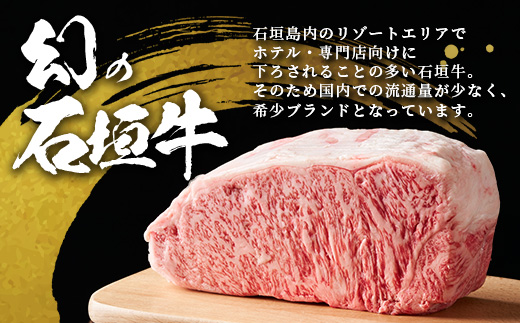 石垣牛100％ ハンバーグ　(100ｇ×15個)｜国産 石垣牛100% 高級 黒毛和牛 ビーフ ハンバーグ詰め合わせ  ID-2