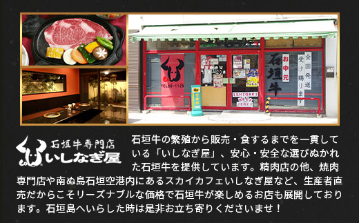 【全2回 定期便D】 石垣牛 すきしゃぶ＆焼肉セット・ステーキ＆焼肉セット　計2kg（いしなぎ屋）【 特選肉 肉 高級 黒毛和牛 和牛 牛 】AB-32