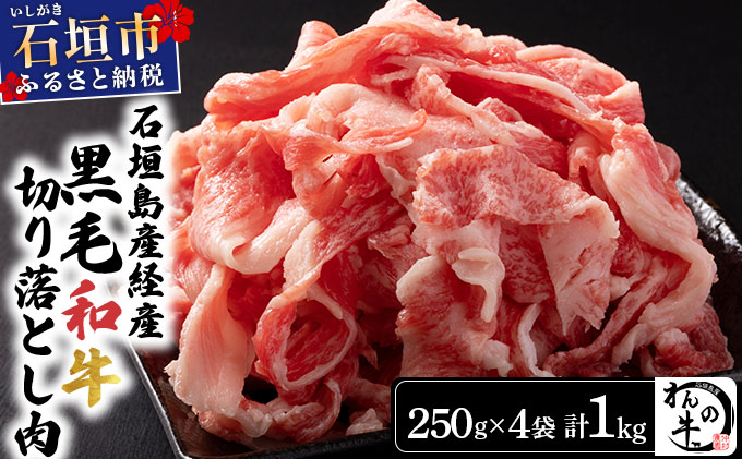 ＜わんの牛＞石垣島産経産黒毛和牛 切り落とし 250g×4袋 合計1kg NA-02