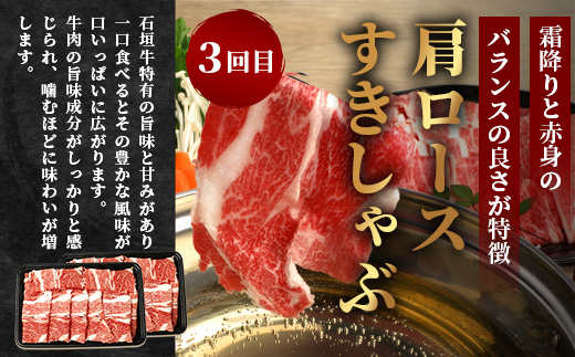 【全3回 定期便C】 石垣牛　切り落としスライス・ハンバーグ・肩ロースすきしゃぶ　計3.1kg（いしなぎ屋）【 特選肉 肉 高級 黒毛和牛 和牛 牛 】AB-31