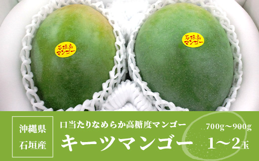 【予約受付】沖縄県石垣島産 キーツマンゴー 700g～900g【1～2玉】【口当たりがなめらかな 高糖度マンゴー】【2025年発送分】