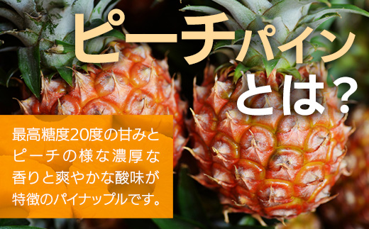 《2025年4月以降順次発送》完熟ピーチパインの果汁100％！！濃厚ジュース300ml×3パックをお届け！【 沖縄県 石垣 完熟 パイン パイナップル ピーチ 果汁 100％ 】TF-44