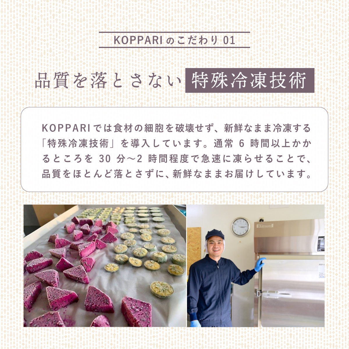 先行予約＜2026年6月より順次発送＞贅沢3種フローズンパイナップル 6パック【 沖縄県 石垣市 果物 パイナップル 冷凍 パイン フローズン 送料無料 】 EF-6