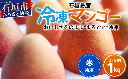 石垣島産まるごと冷凍マンゴー　2～5個 約1kg  EF-7