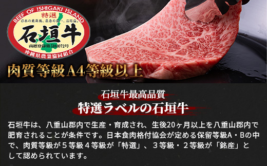 【全2回 定期便D】 石垣牛 すきしゃぶ＆焼肉セット・ステーキ＆焼肉セット　計2kg（いしなぎ屋）【 特選肉 肉 高級 黒毛和牛 和牛 牛 】AB-32