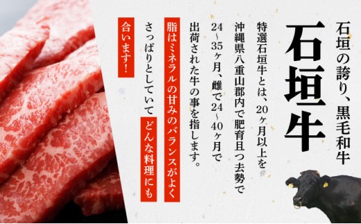 【2025年11月以降順次発送】【3回定期便】希少な特選石垣牛をご家庭で！！全3回合計1.1kg　上カルビ、ヒレステーキ各400gずつ、特選しゃぶしゃぶ用300g & 石垣牛 MARU秘伝の焼肉タレ100ml×1本 | 沖縄 石垣 特選 牛 上 赤身 カルビ ヒレ ステーキ ロース 肉 焼肉 真空 冷凍 タレ 定期便 | IM-61t