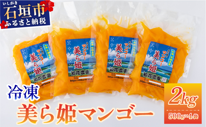 冷凍美ら姫マンゴー 2kg（500g×4袋）CB-4