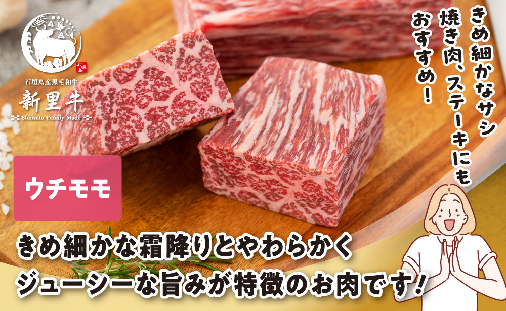 石垣島産 黒毛和牛 新里牛 極旨! ローストビーフ用贅沢4種食べ比べ（200g～300g×4）合計1kg以上 ローストビーフ ステーキ 焼肉 SZ-42