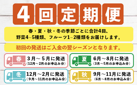 【4回定期便】沖縄県 石垣島の野菜・フルーツBOX ≪野菜4～5種類、フルーツ1~2種類≫（1箱×4回）じょーとーまーさん(とても美味しい) 石垣島の野菜とフルーツの詰め合わせセットをお楽しみください！！｜沖縄 石垣島 直送 旬 果物 フルーツ 新鮮 島野菜 野菜セット 詰め合わせ 定期便 CK-5