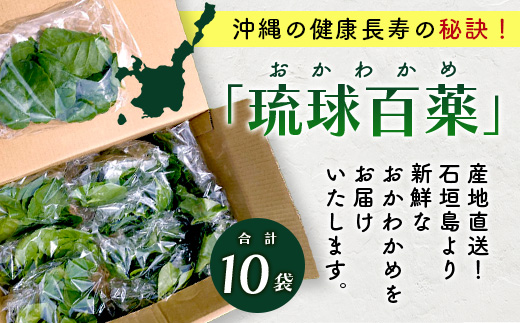 沖縄の健康長寿の秘訣「琉球百薬（おかわかめ）」10袋と旬のおまけ野菜詰め合わせ！農薬を使わない栽培方法を続けるミネイさんの野菜【 沖縄 石垣島 石垣島産 野菜 セット 詰合せ 農薬不使用 離島のいいもの 沖縄のいいもの石垣島 】OI-24