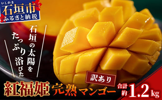 訳あり【2026年発送 予約受付分】「紅福姫ブランド」石垣島のマンゴー 約1.2kg　OT-01