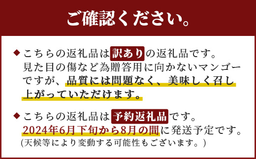 訳あり【2025年発送 予約受付分】「紅福姫ブランド」石垣島のマンゴー 1.3kg 2〜4玉　OT-1