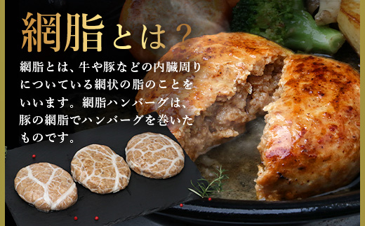 石垣島産 やえやまファームのアグー豚(南ぬ豚) 網脂ハンバーグ食べ比べセット(3種×各2個) E-26