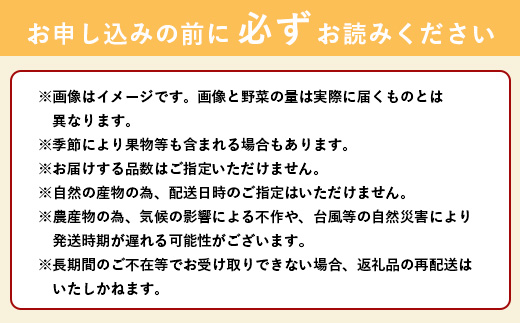 石垣島産 野菜BOX　1箱【６~８種類】野菜パワーをあなたに！！CK-1【野菜セット おまかせセット 旬 季節のお野菜 旬の野菜セット 詰め合わせ 島野菜 沖縄県 石垣市 石垣島 石垣 】