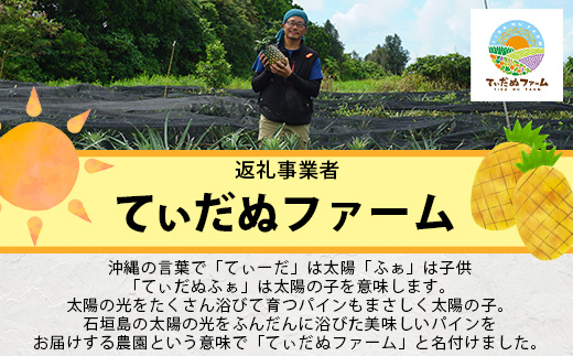 《2025年5月上旬頃より順次発送》【予約受付】石垣島産 ボゴールパイン 3～4個セット 約3㎏【産地直送 石垣島産 石垣 完熟 パイン パイナップル スナックパイン ボゴール 】TD-3