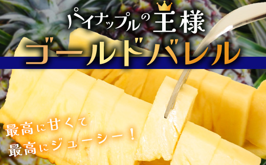 【2025年6月上旬より順次発送予定】最高級パイン ゴールドバレル2~3玉(約3kg)セット【 沖縄 石垣 パイナップル パイン ゴールド バレル 高級 セット 】TD-1-1