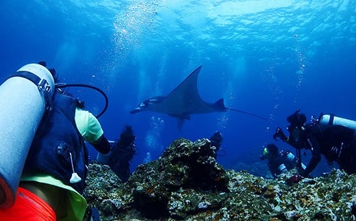 YD-2 体験ダイビング利用券　石垣島のマンタ・サンゴ・ウミガメに会いに行こう