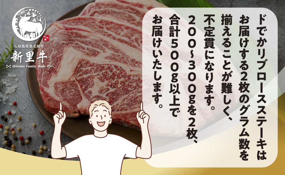 石垣島産 黒毛和牛 新里牛 どデカリブロースステーキ（不定貫200～300g×2）合計500g以上 ステーキ 焼肉 バーベキュー SZ-33